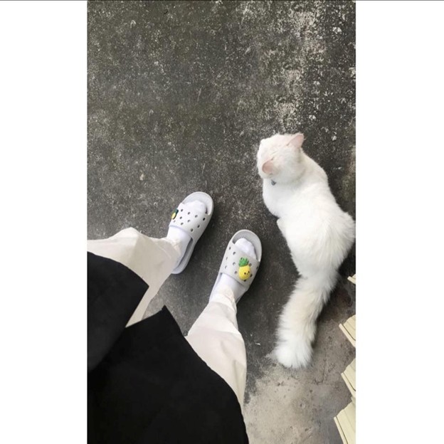 Nguyễn Ngọc Minh Tiến